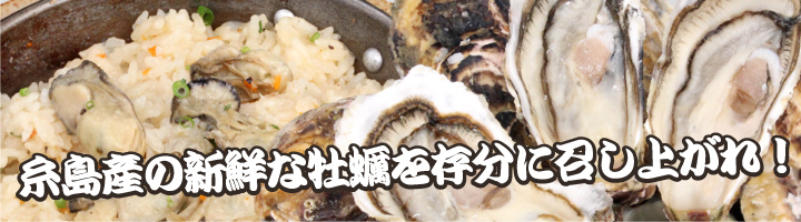 糸島産の新鮮な牡蠣を存分に召し上がれ!